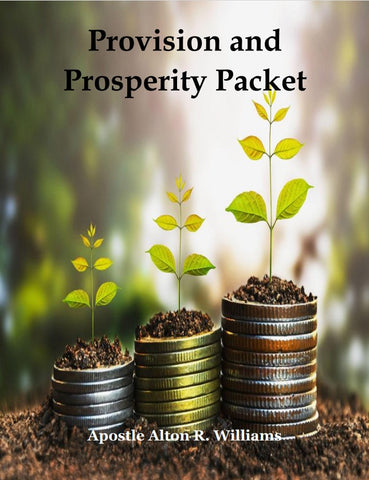 Provision and Prosperity Packet PDF
